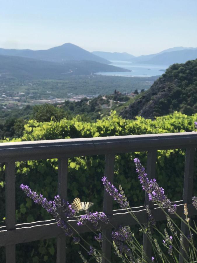 Villa Nikoleta Kotor Zewnętrze zdjęcie