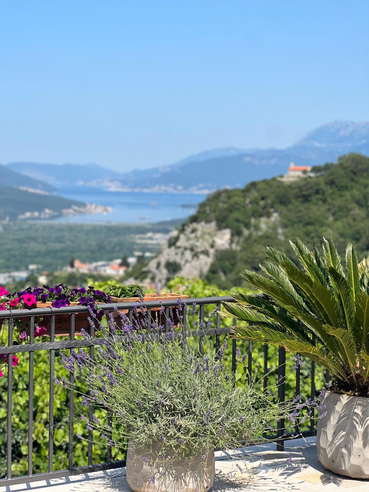 Villa Nikoleta Kotor Zewnętrze zdjęcie
