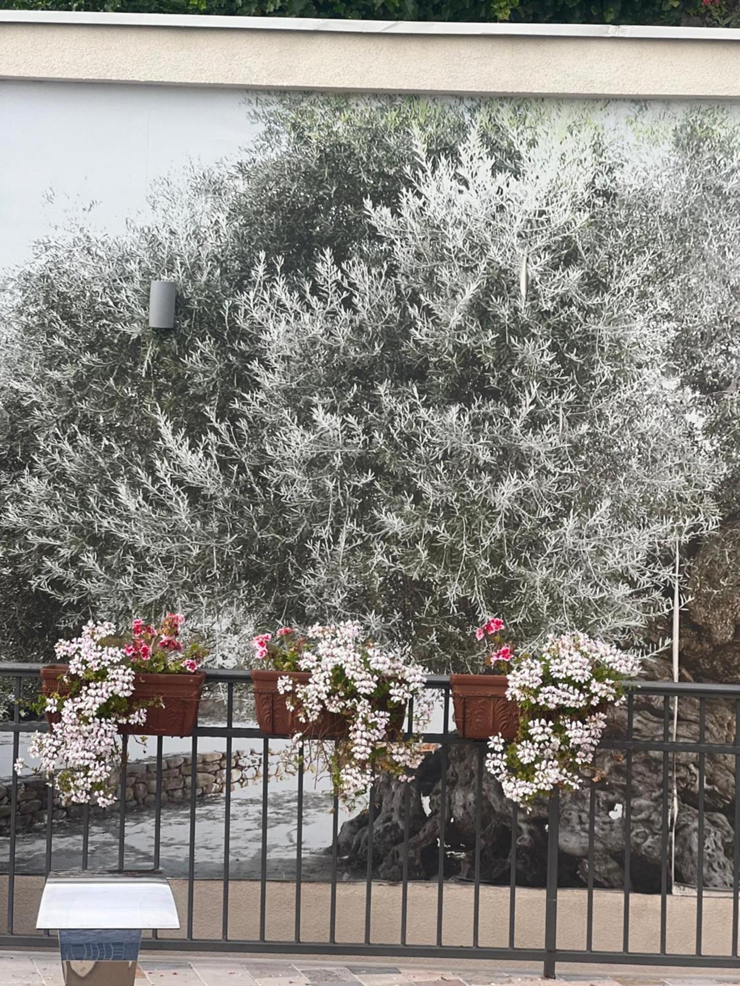 Villa Nikoleta Kotor Zewnętrze zdjęcie